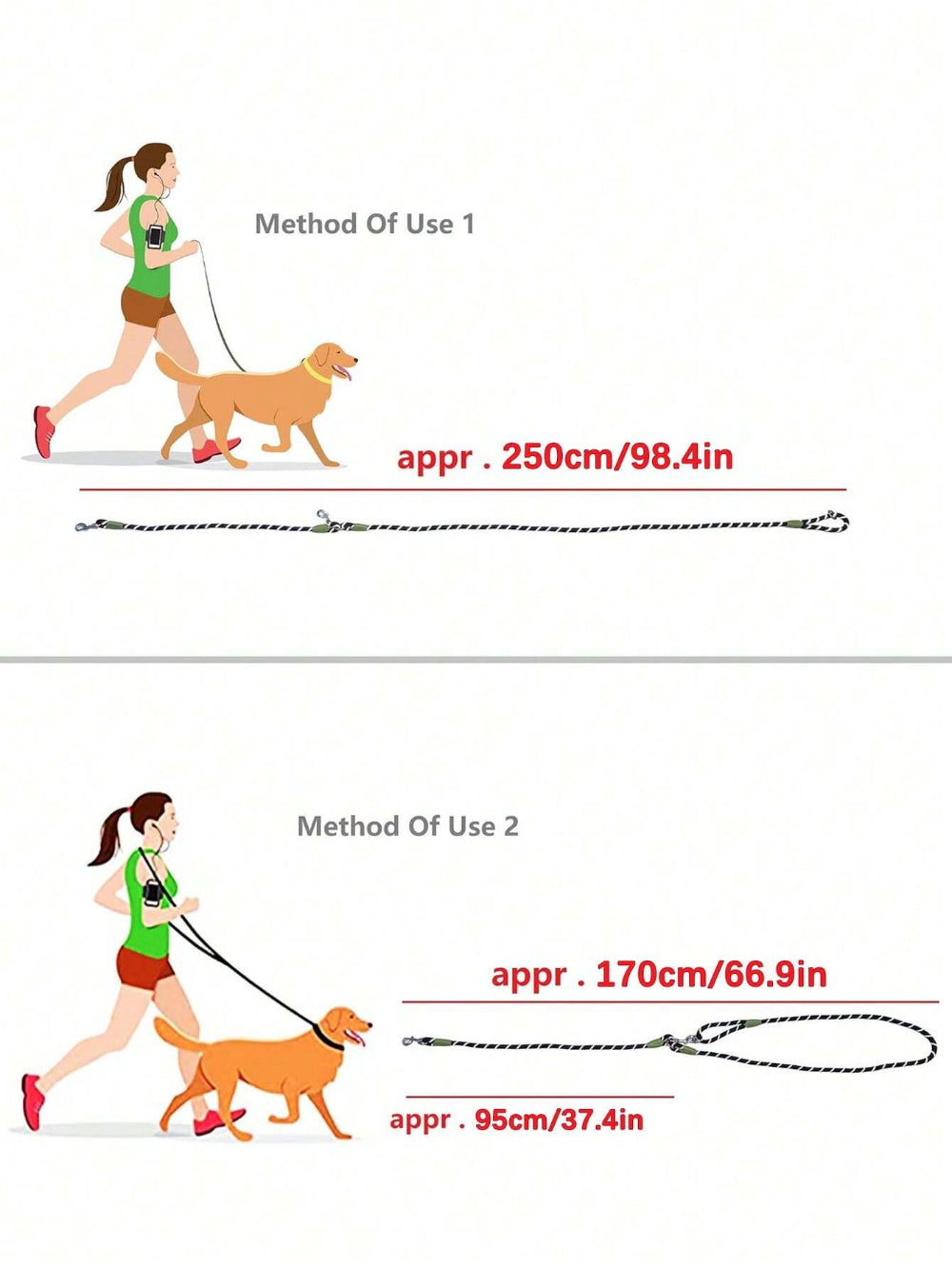 Laisse Multifonction pour chien, Mains Libres pour des Balades Plus Libres et Connectées
