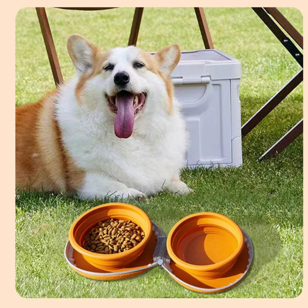 Pochette double bol pliable chiens en voyage