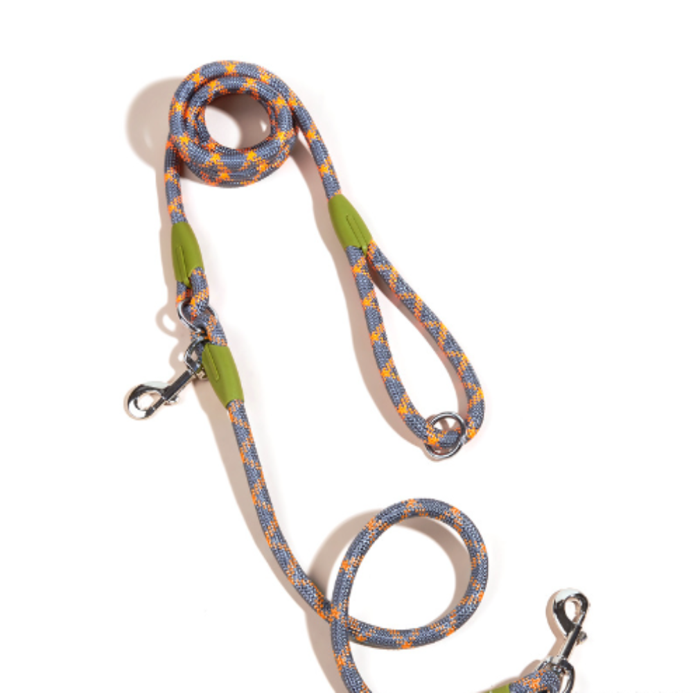 Laisse Multifonction pour chien, Mains Libres pour des Balades Plus Libres et Connectées