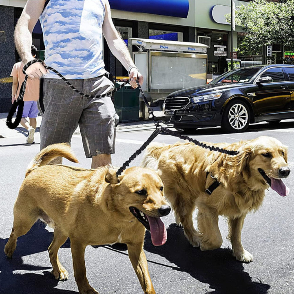 Pour un ou deux chiens: laisse rétractable réfléchissante  et anti-enroulement