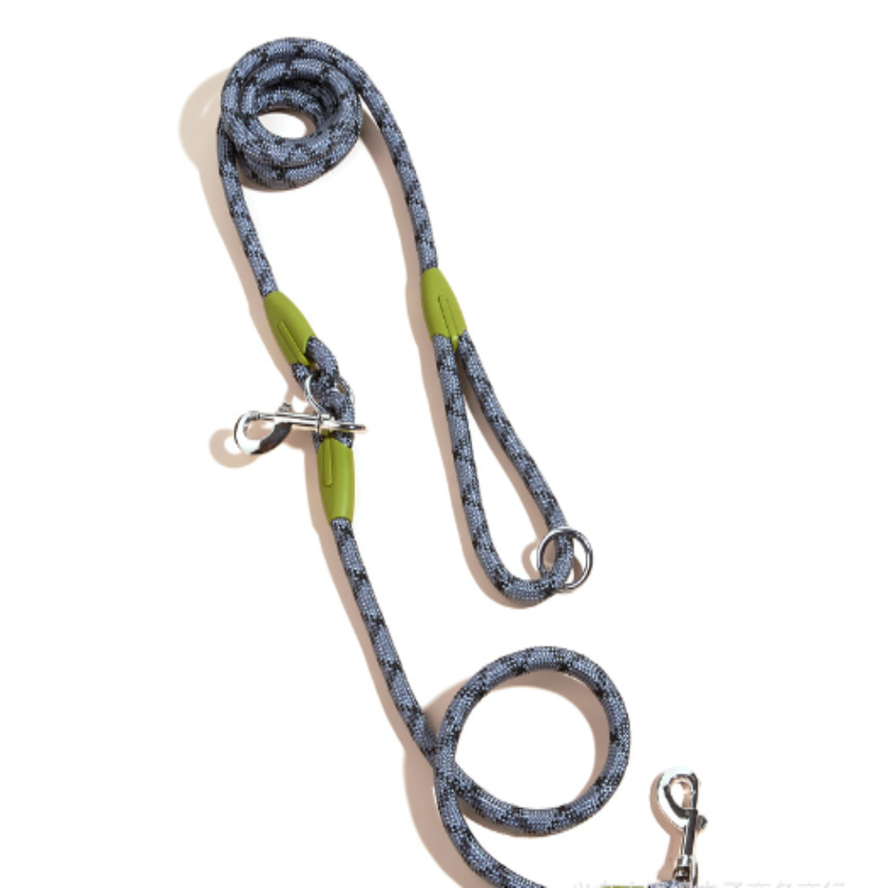 Laisse Multifonction pour chien, Mains Libres pour des Balades Plus Libres et Connectées