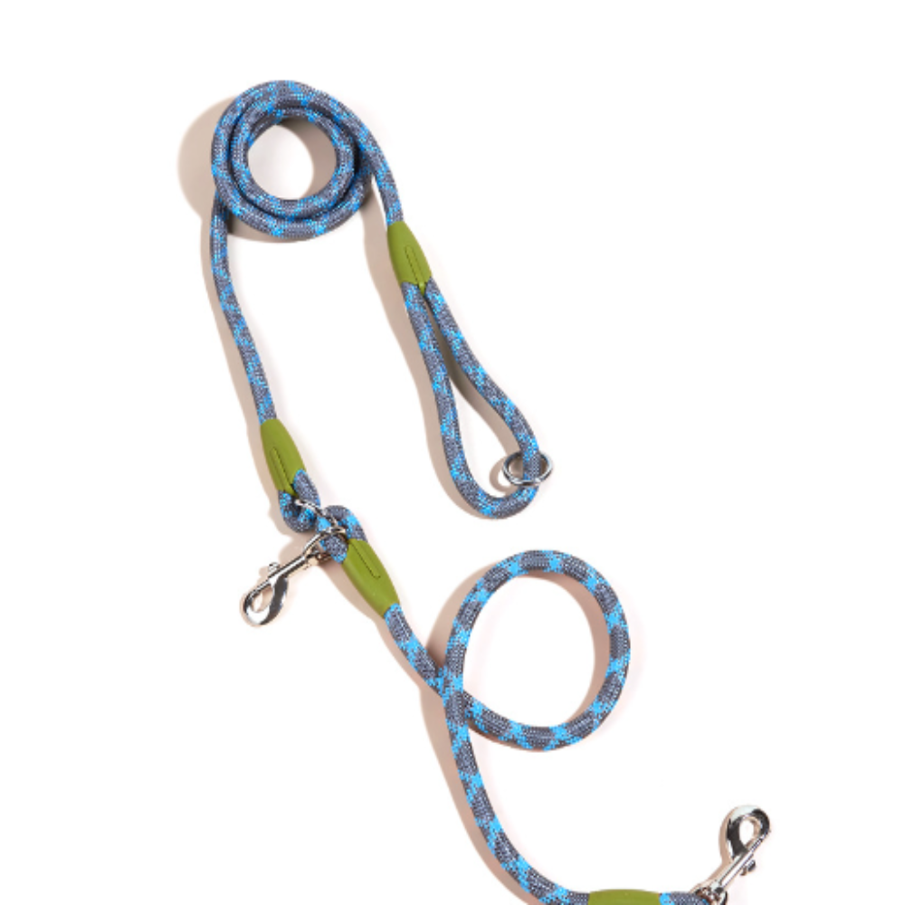 Laisse Multifonction pour chien, Mains Libres pour des Balades Plus Libres et Connectées