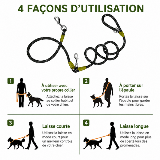 🐾Laisse pour chien mains libres – Confort, sécurité et liberté de mouvement 🦮