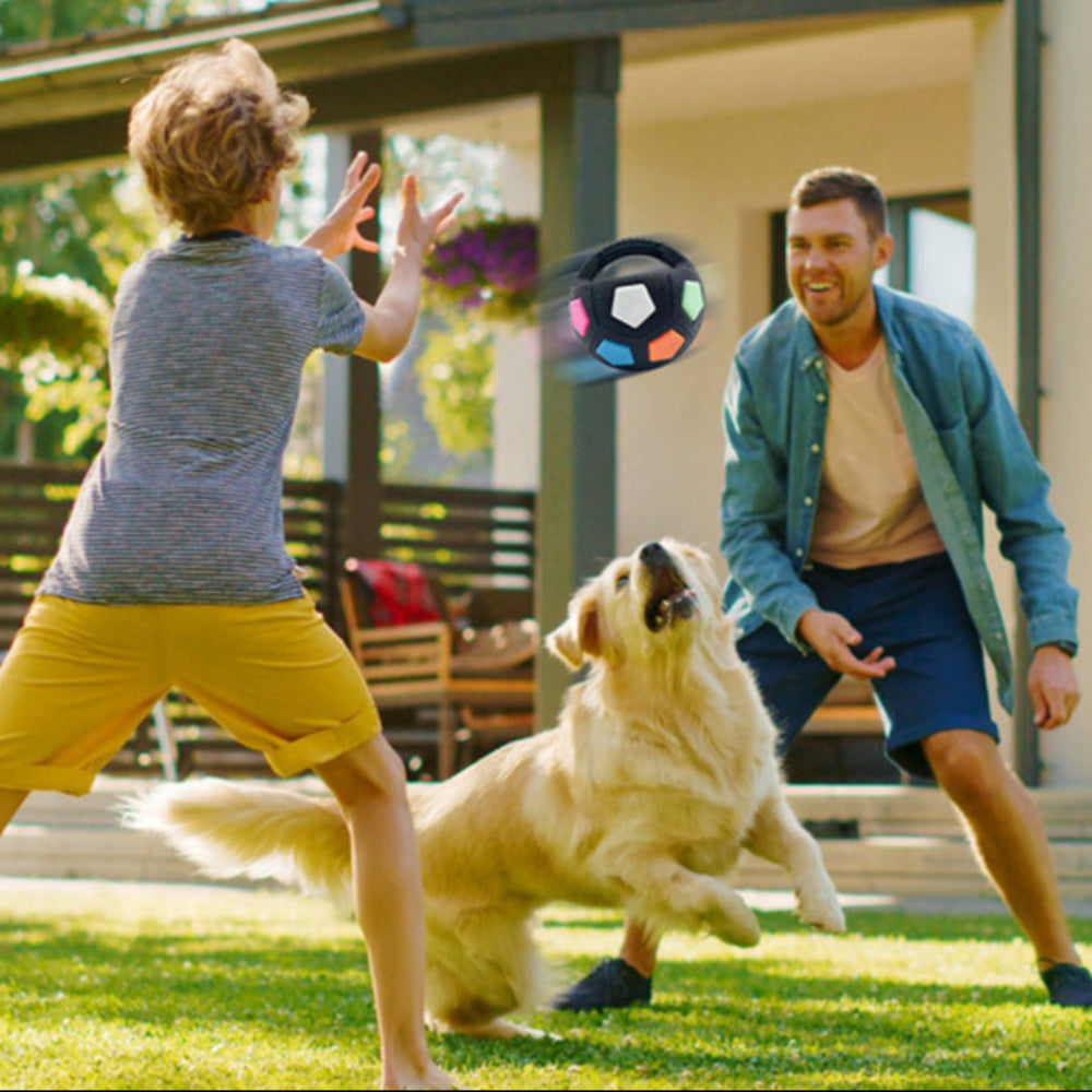 Balle de jeux chien facile à attraper