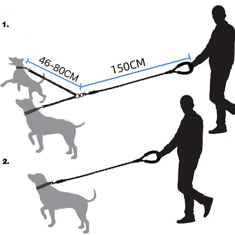 chien Double laisse rétractable réfléchissante