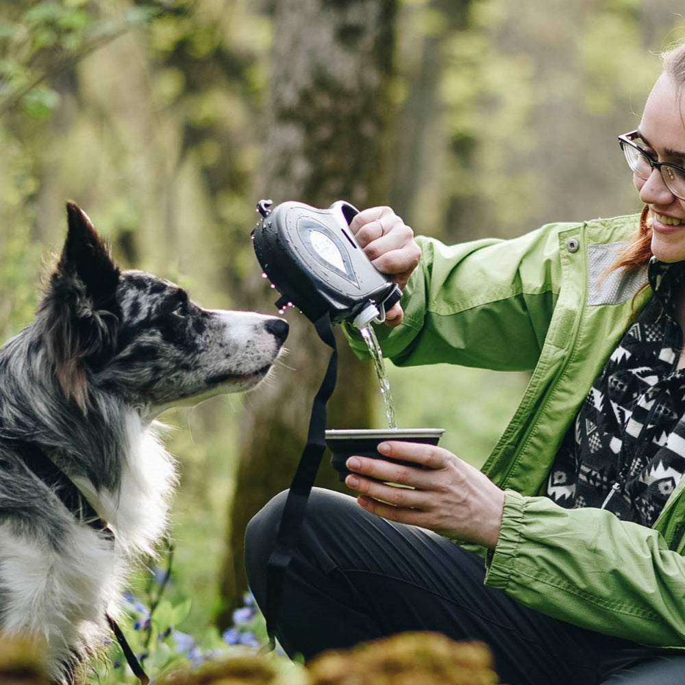 Laisse rétractable avec gamelle et réservoir d’eau