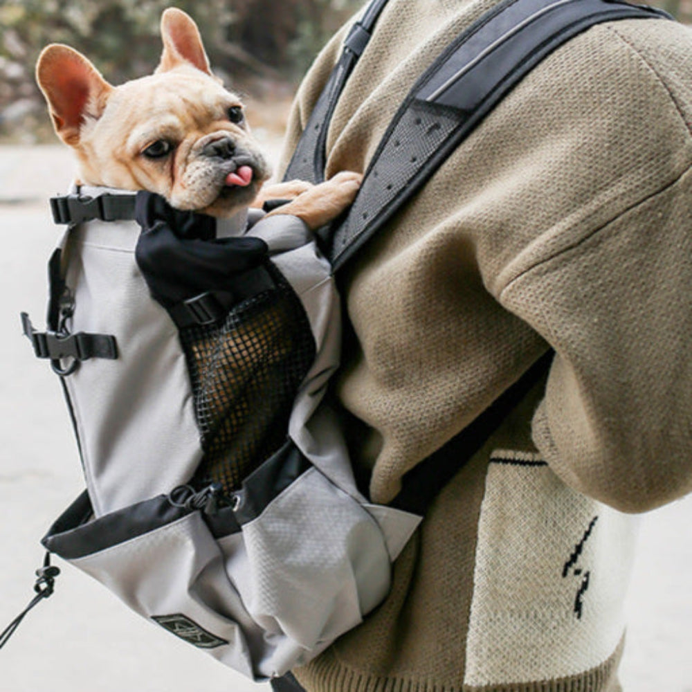 Sac à dos transport chiens gris