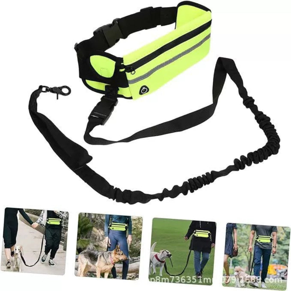Laisse pochette mains libres chien