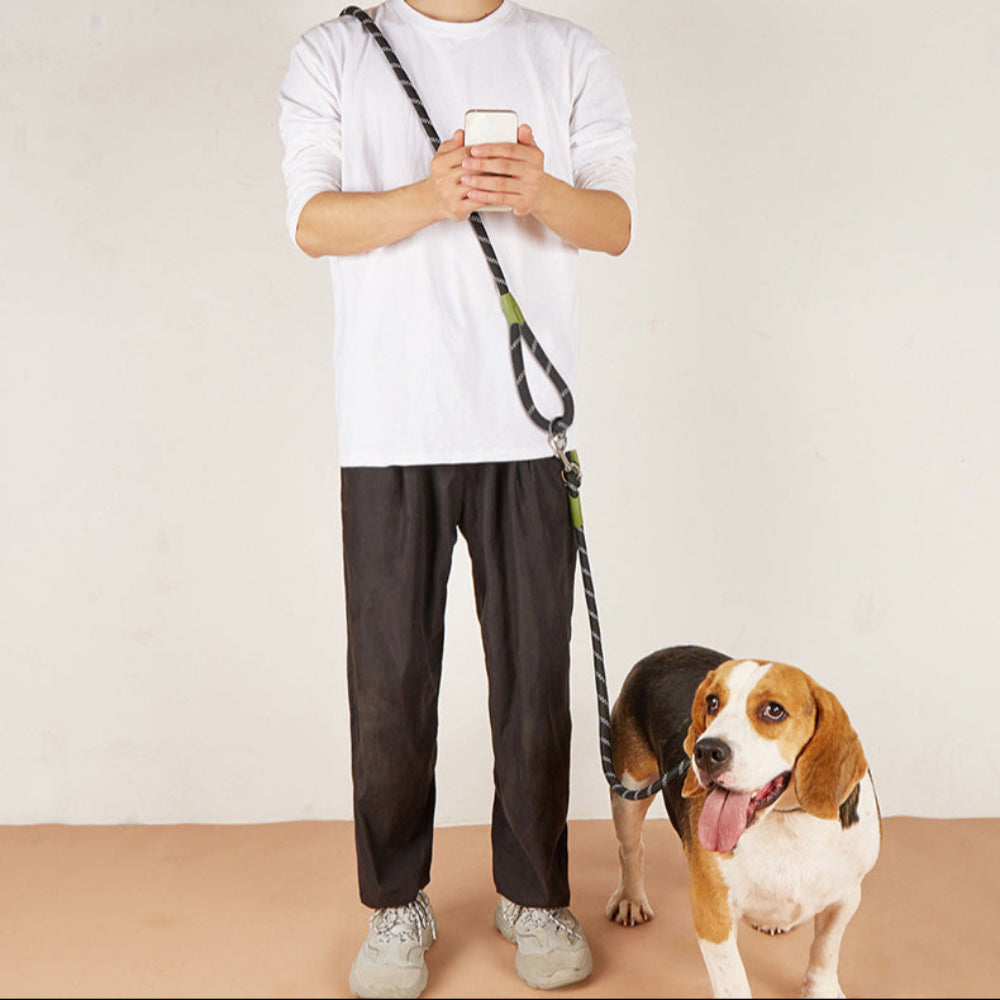 Laisse Multifonction pour chien, Mains Libres pour des Balades Plus Libres et Connectées