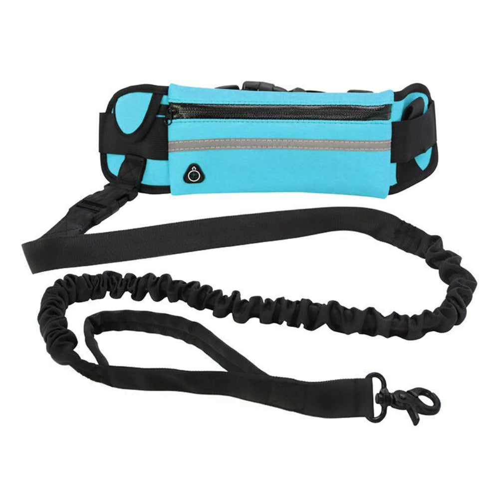Laisse pochette mains libres chien
