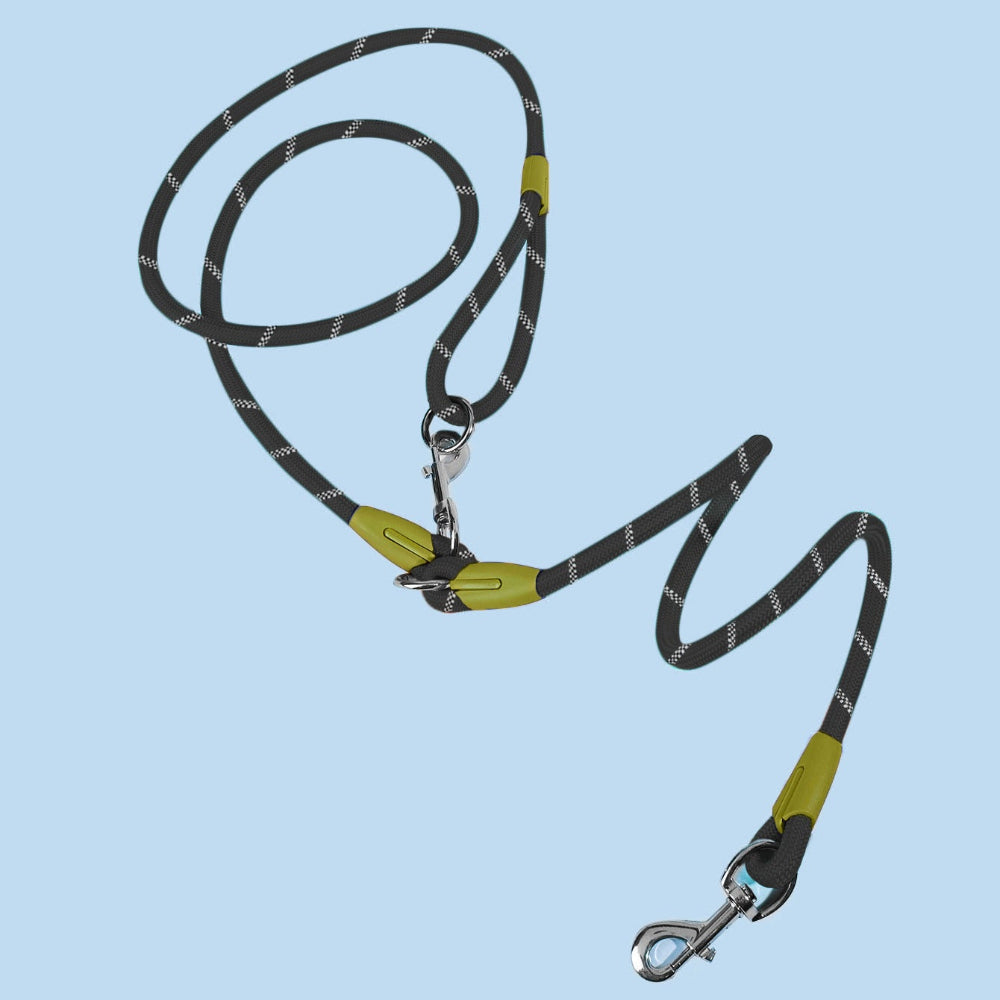 Laisse Multifonction pour chien, Mains Libres pour des Balades Plus Libres et Connectées