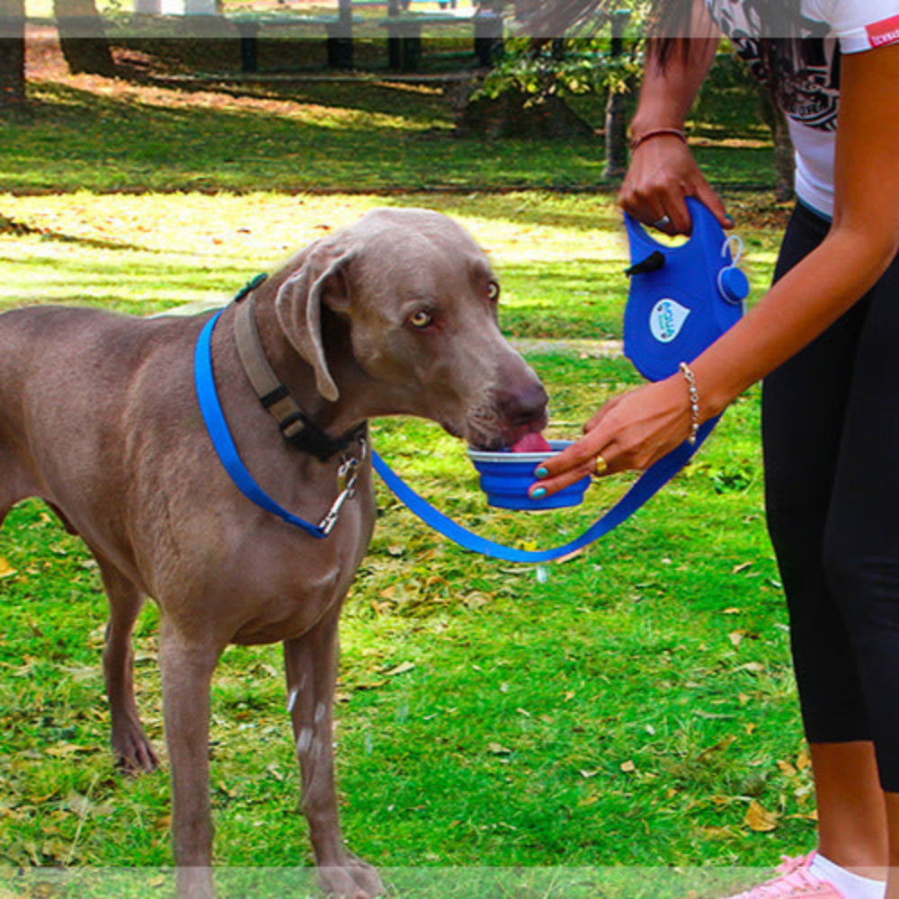 Laisse rétractable avec gamelle et réservoir d’eau
