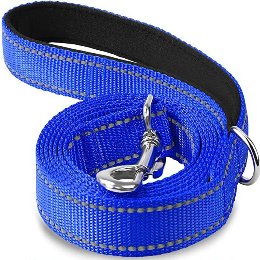 longue longe laisse chien réflechissante