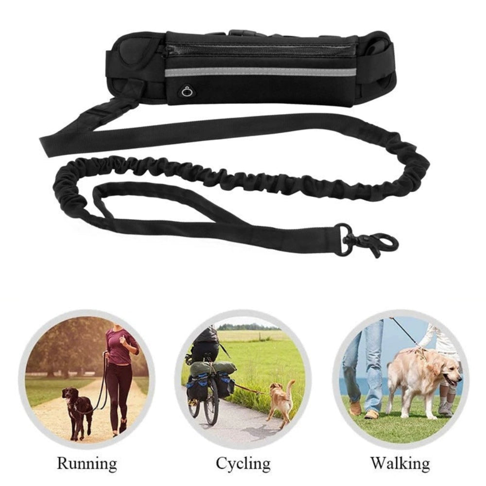 Laisse pochette mains libres chien