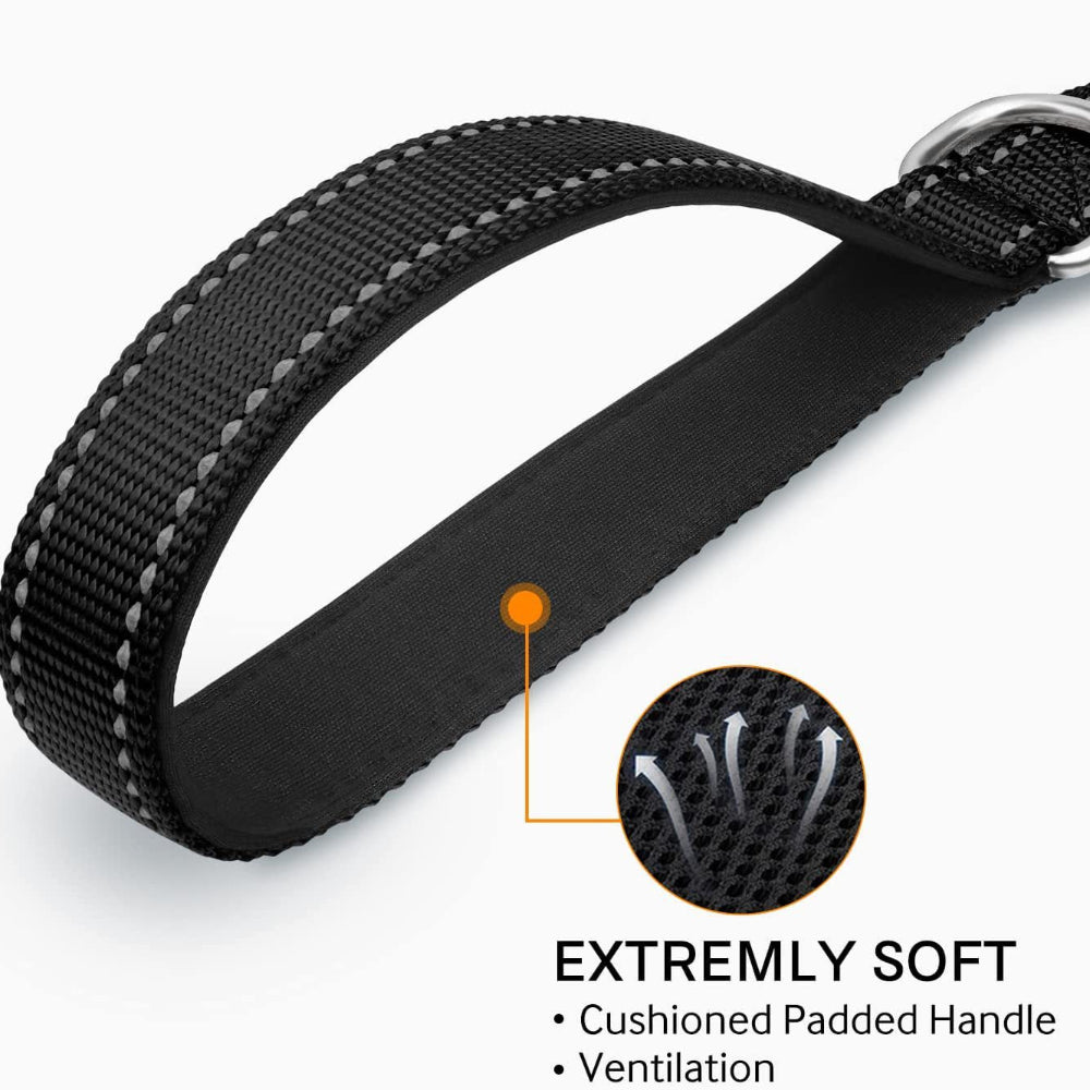 longue longe laisse chien réflechissante