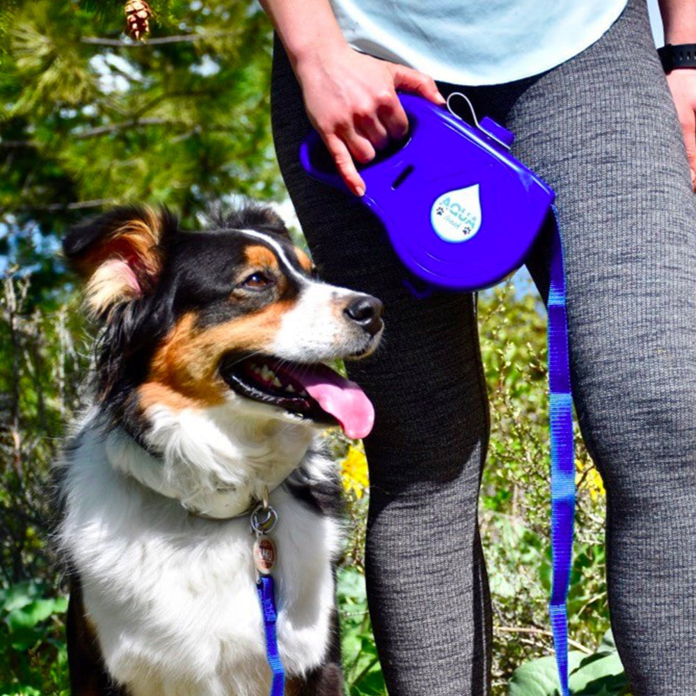 Laisse rétractable avec gamelle et réservoir d’eau