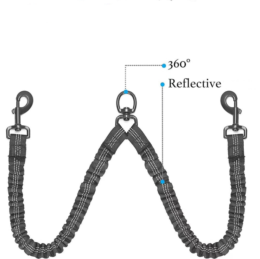 chien Double laisse rétractable réfléchissante
