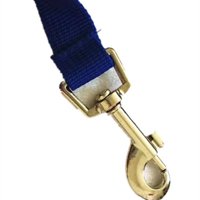 Laisse rétractable avec gamelle et réservoir d’eau