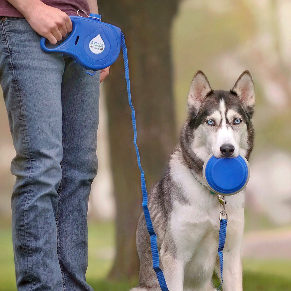 Laisse rétractable avec gamelle et réservoir d’eau