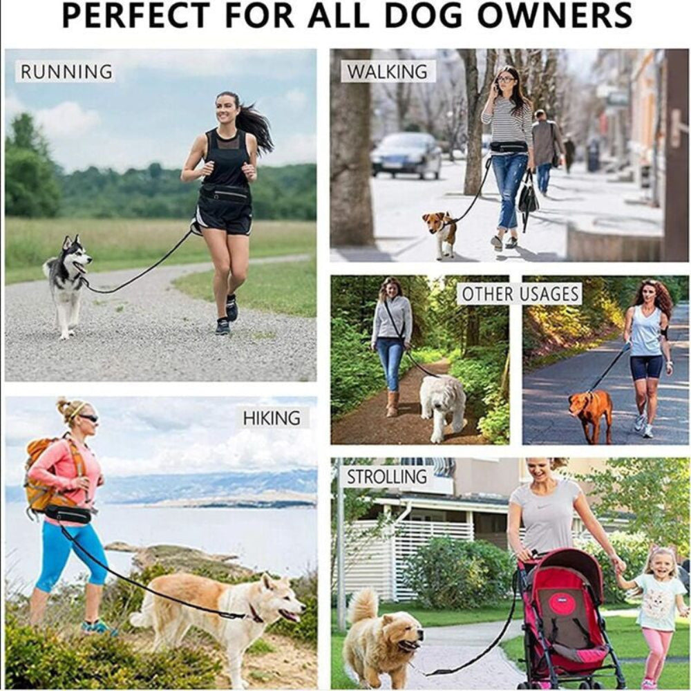 Laisse pochette mains libres chien