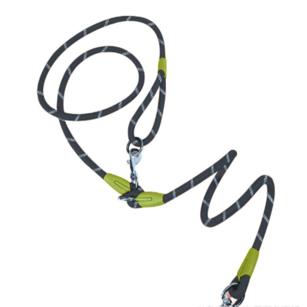 Laisse Multifonction pour chien, Mains Libres pour des Balades Plus Libres et Connectées