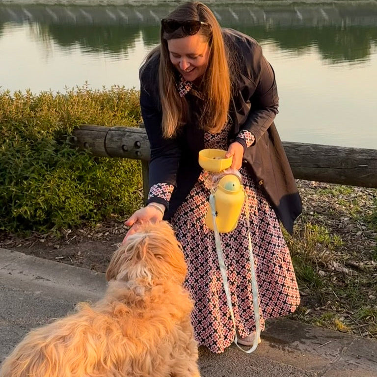 🐾 5 erreurs que font (encore) trop de maîtres en promenade avec leur chien