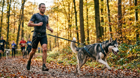 Laisse mains libres canicross | Le guide pour débuter