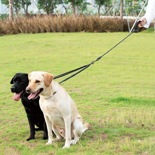 Pour un ou deux chiens: laisse rétractable réfléchissante  et anti-enroulement 