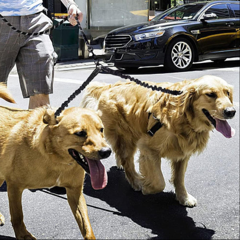 Pour un ou deux chiens: laisse rétractable réfléchissante  et anti-enroulement 