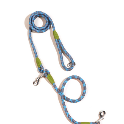 Laisse Multifonction pour chien, Mains Libres pour des Balades Plus Libres et Connectées