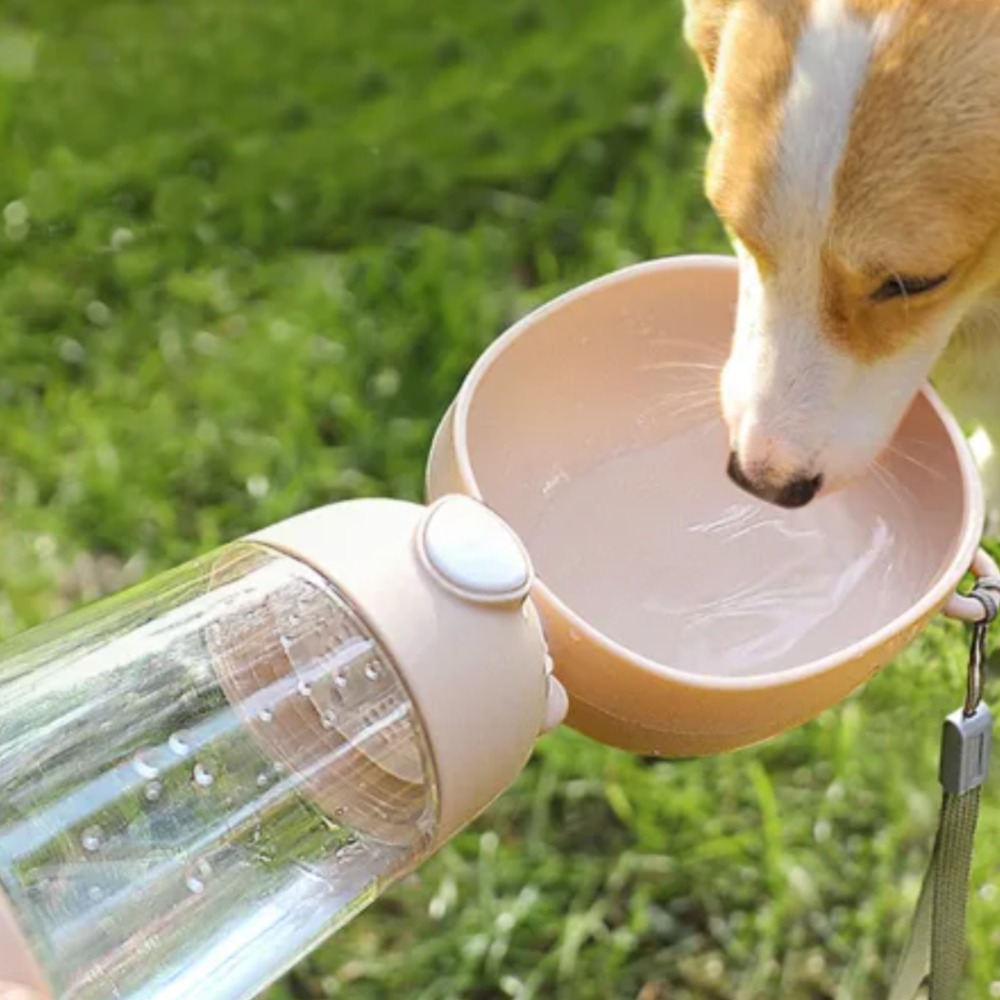 gourde chien avec réserve 