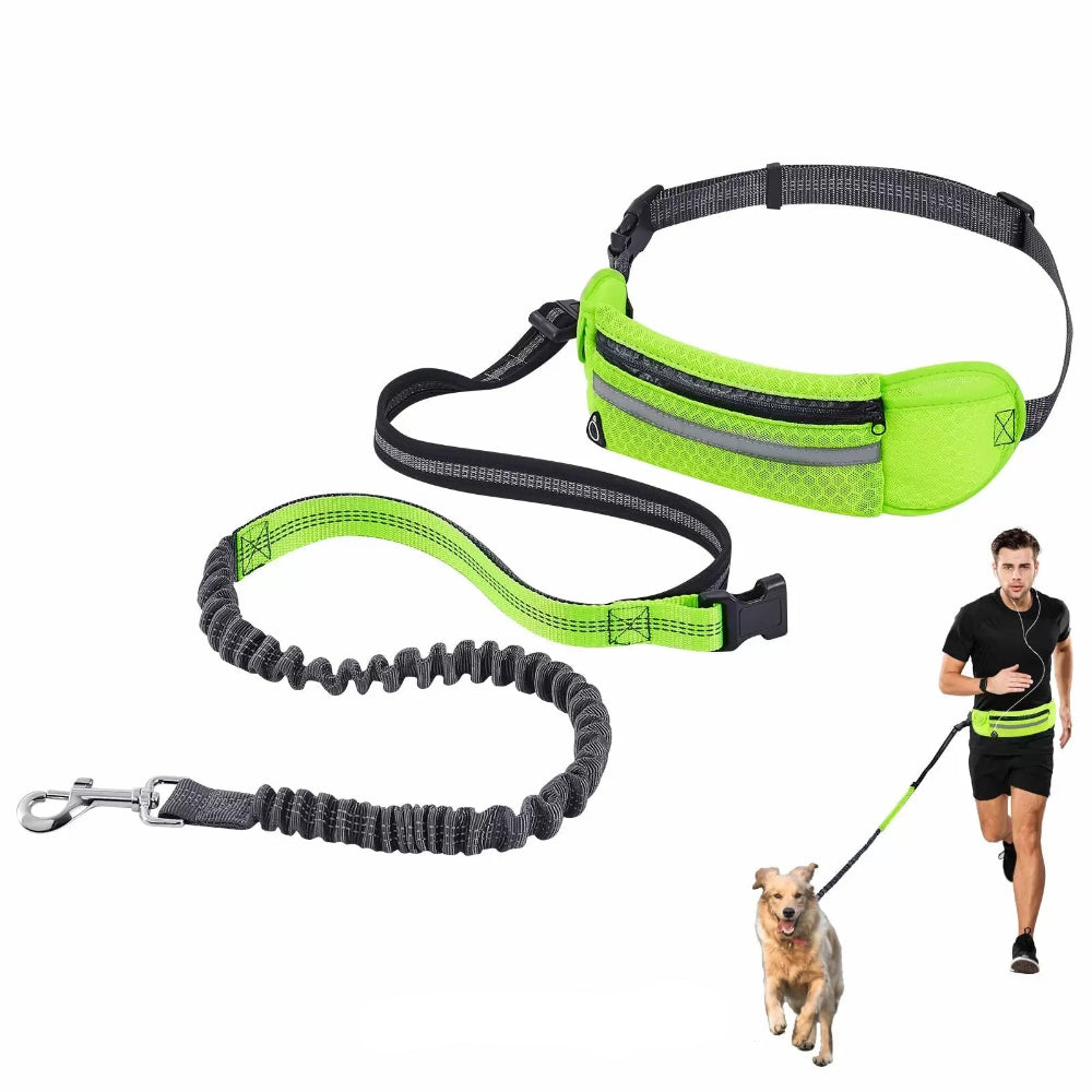 laisse main libres pour sport avec chien 