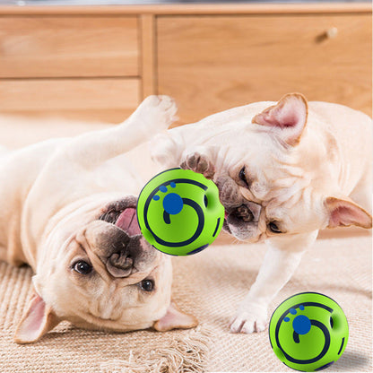 Balle indestructible chien