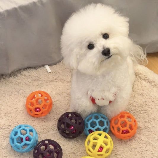 Balle d’amusement chien