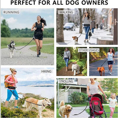 Laisse pochette mains libres chien