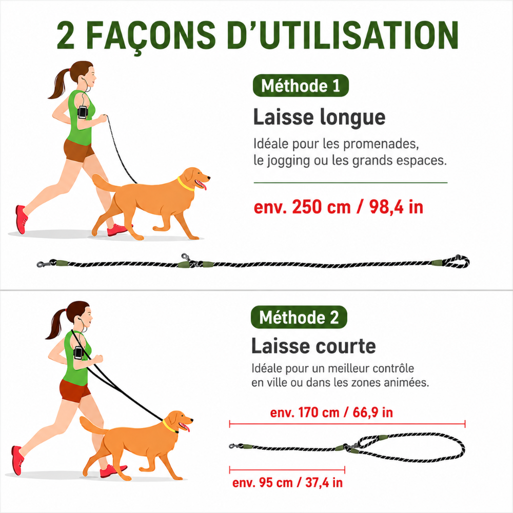 🐾Laisse pour chien mains libres – Confort, sécurité et liberté de mouvement 🦮