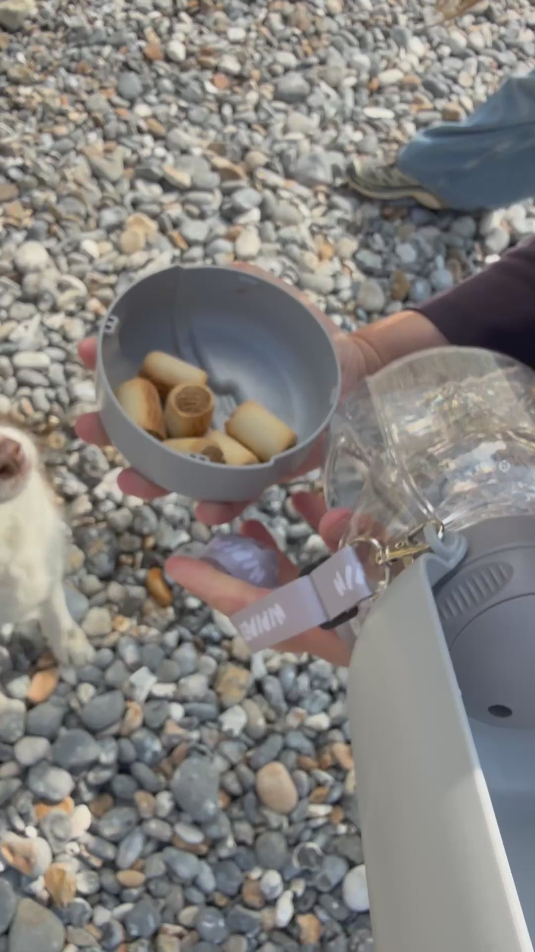 La méga gourde Lucky 3 en 1 l'indispensable à votre chien 